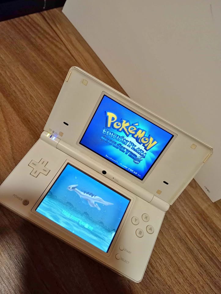 Rosy Brown Nintendo DSi — Consola Hackeada, Lista para Jugar