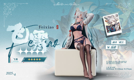 Dark Gray Estatuilla Honkai: Star Rail | Feixiao | tienda anime | Tico Ofertas