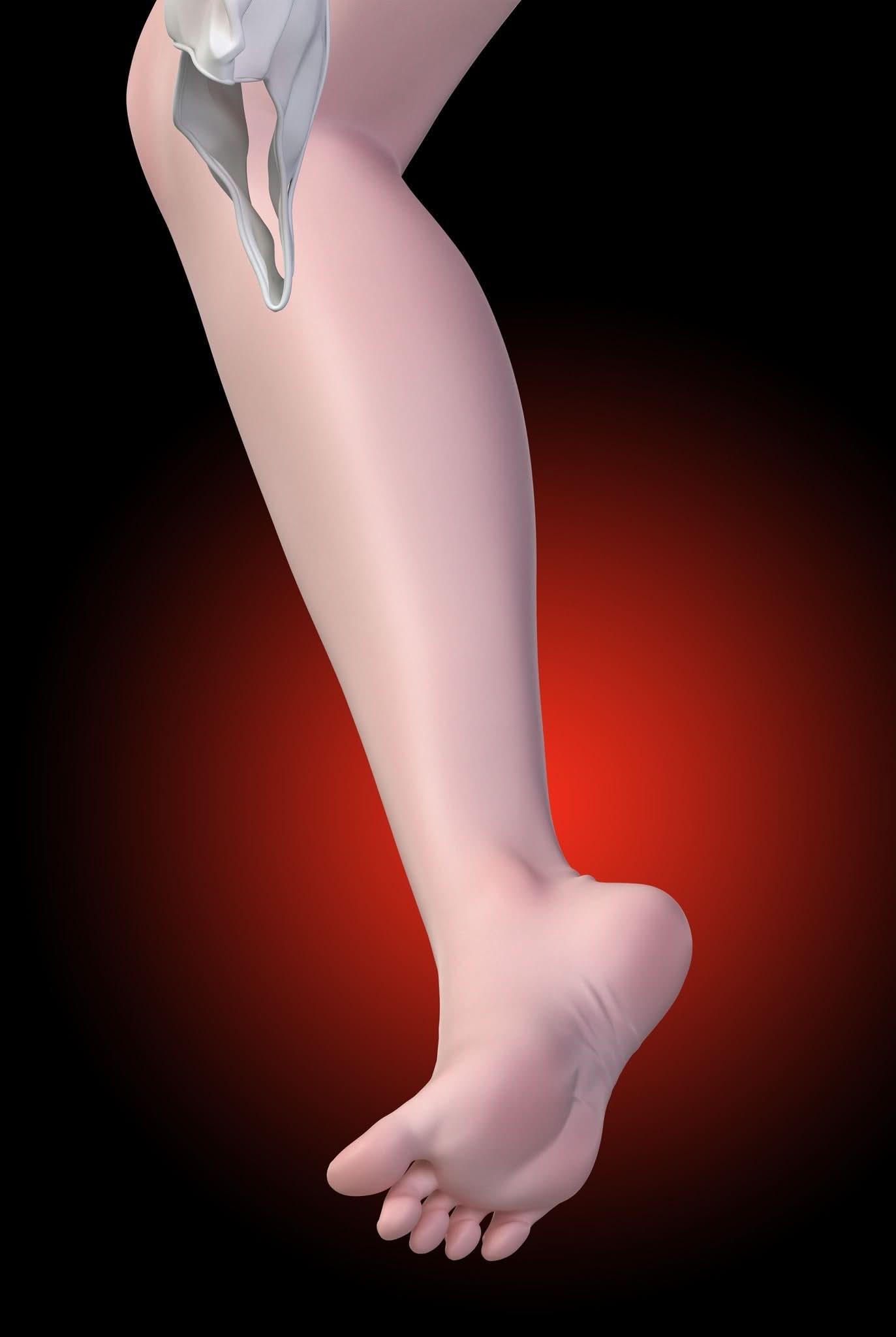 Black Figura Arctic Wolf Studio - Honkai Impact Black and White Seele Vollerei  | Figuras Anime Costa Rica, TODO EN ANIME  | Tico ofertas