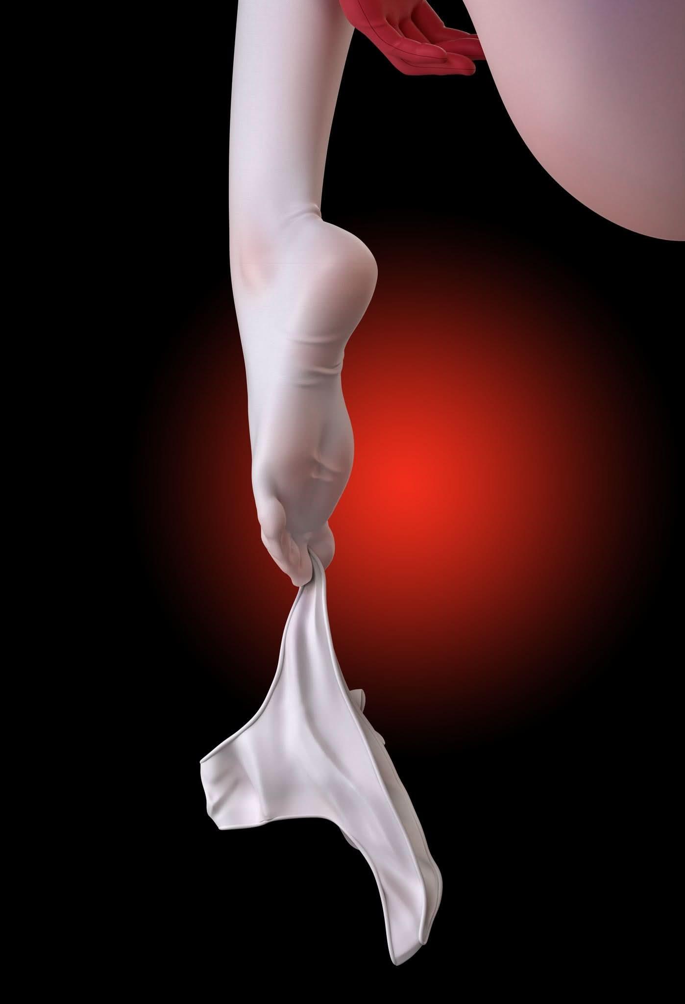 Black Figura Arctic Wolf Studio - Honkai Impact Black and White Seele Vollerei  | Figuras Anime Costa Rica, TODO EN ANIME  | Tico ofertas