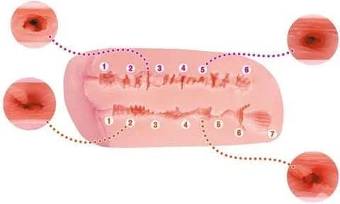 Light Pink Sex Dolls torso Sexual Torso SexualBakunyu Nipple Fuck - con Penetración de Pezones 11kg | muñeca Anime Costa Rica, Modelo Coleccionable de Alta Calidad Masturbador