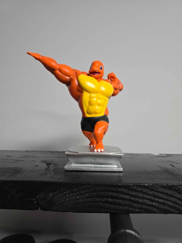 Dark Gray Figura Displays Pokémon Coleccionables – Gengar, Squirtle, Bulbasaur y Charmander Tienda Anime | Tico Ofertas