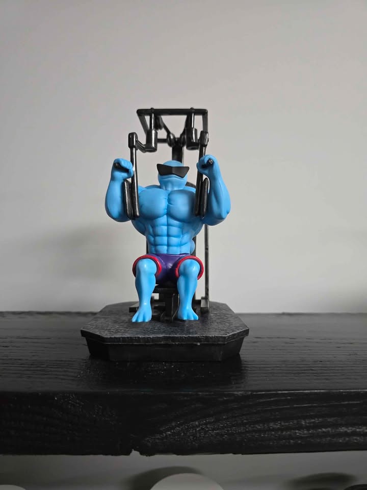 Dark Gray Figura Displays Pokémon Coleccionables – Gengar, Squirtle, Bulbasaur y Charmander Tienda Anime | Tico Ofertas