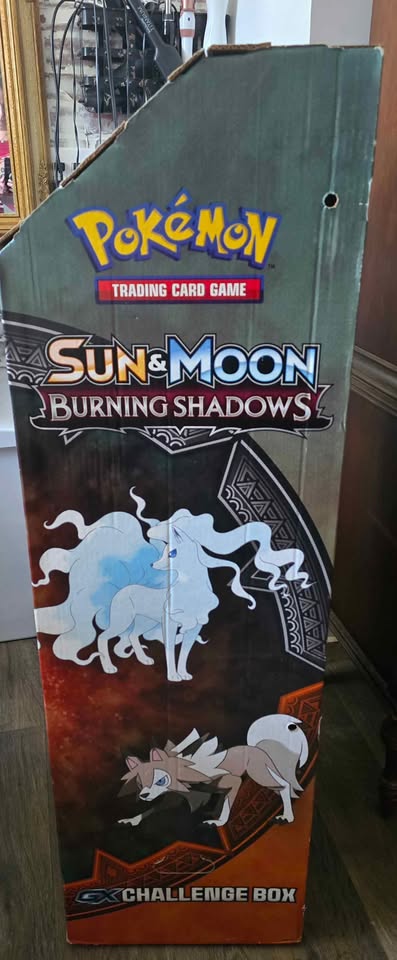 Dark Slate Gray Display Personalizado para Cartas Pokémon – Compatible con Graded y Normales