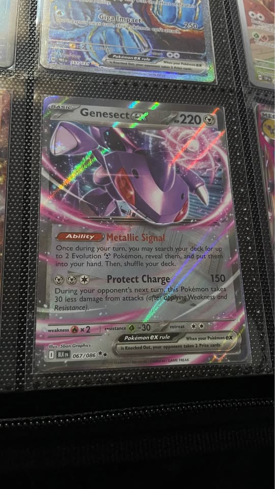 Dark Slate Gray Cartas Pokémon en estado como nuevo – Mewtwo ex, Zekrom ex, Palafin ex y más