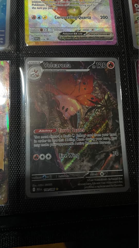 Black Cartas Pokémon en estado como nuevo – Mewtwo ex, Zekrom ex, Palafin ex y más