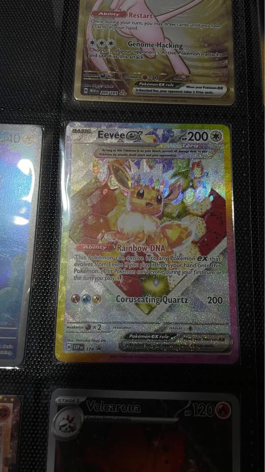 Dark Slate Gray Cartas Pokémon en estado como nuevo – Mewtwo ex, Zekrom ex, Palafin ex y más