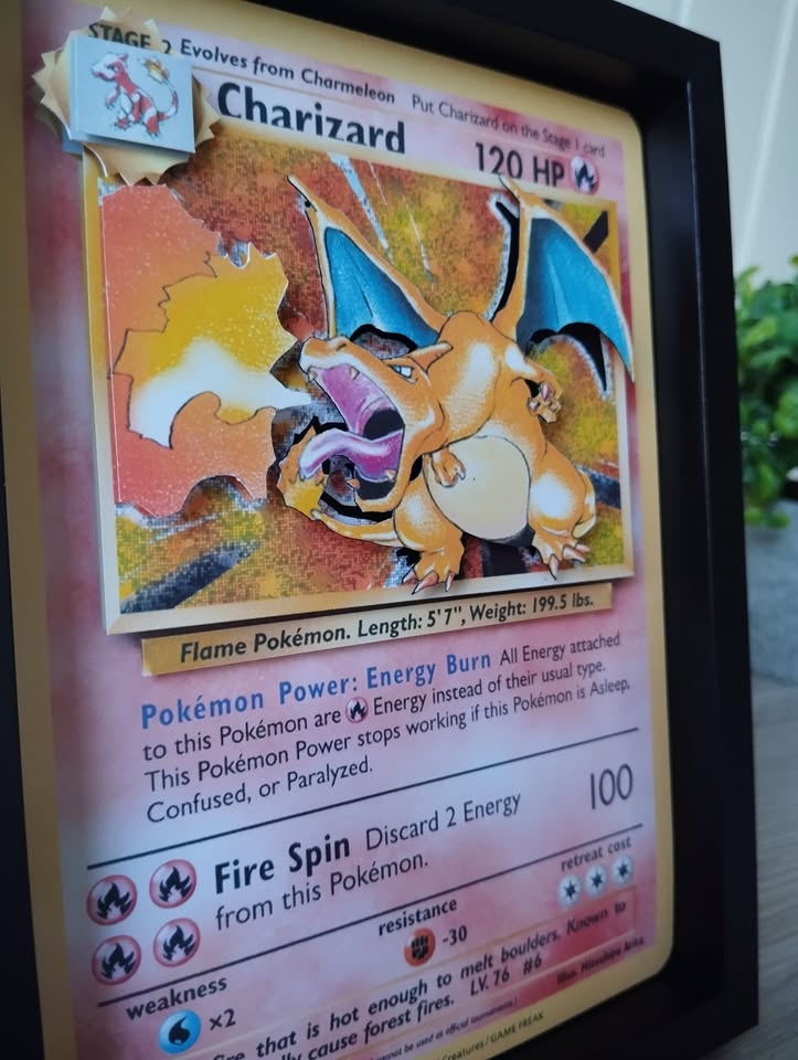 Dark Slate Gray Shadow Box Pokémon TCG Personalizable – Exhibí tu Carta Favorita
