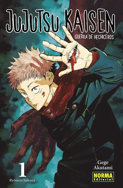 Dark Slate Gray Manga Jujutsu Kaisen Vol. 01 –  Tienda de Mangas Tico Ofertas