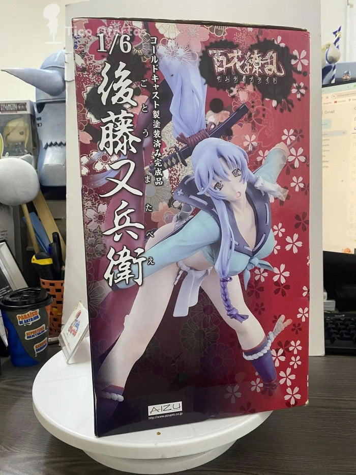 Aizu Project