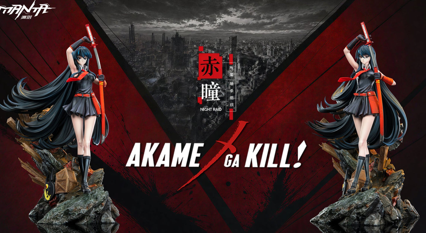 Estatuilla Akame ga Kill | Akame | Manta Studio | Tienda Anime Costa Rica | Tico Ofertas MTManta Studio