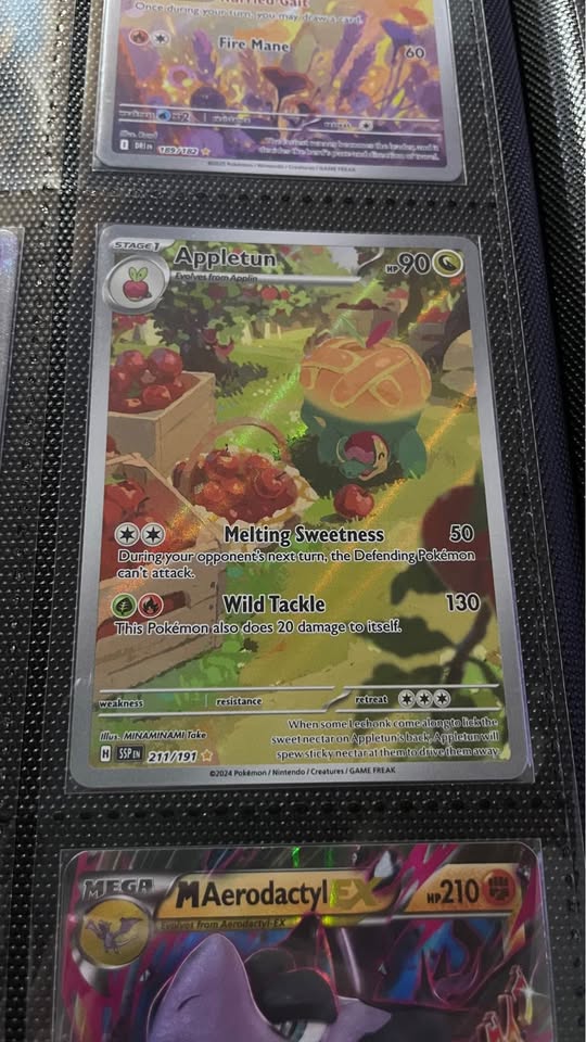 Cartas Pokémon en estado como nuevo – Mewtwo ex, Zekrom ex, Palafin ex y más Tico Ofertas