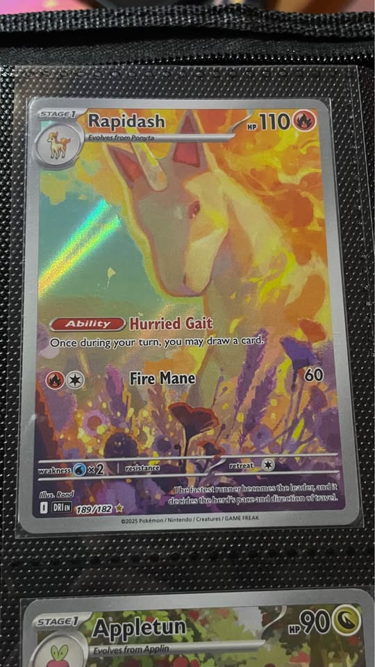 Cartas Pokémon en estado como nuevo – Mewtwo ex, Zekrom ex, Palafin ex y más Tico Ofertas