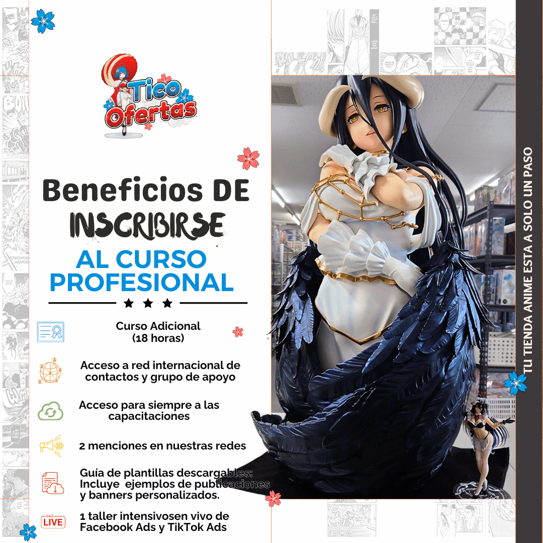 Curso Online: Cómo Iniciar una Tienda Virtual de Anime Exitosa - Tico Ofertas - Tico Ofertas 