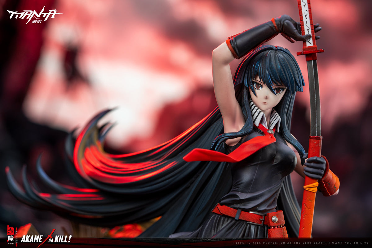 Estatuilla Akame ga Kill | Akame | Manta Studio | Tienda Anime Costa Rica | Tico Ofertas MTManta Studio