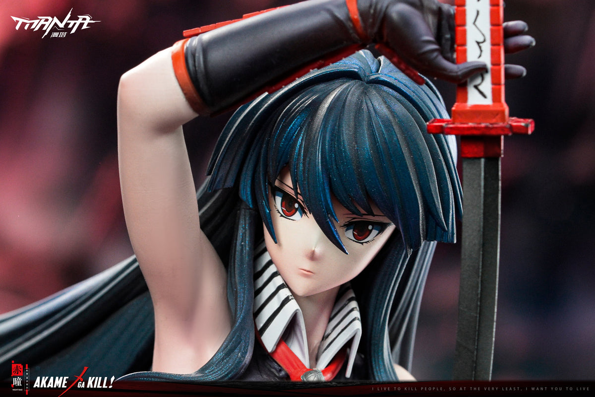 Estatuilla Akame ga Kill | Akame | Manta Studio | Tienda Anime Costa Rica | Tico Ofertas MTManta Studio