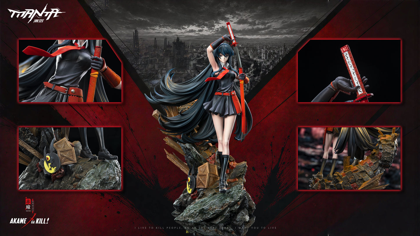 Estatuilla Akame ga Kill | Akame | Manta Studio | Tienda Anime Costa Rica | Tico Ofertas MTManta Studio