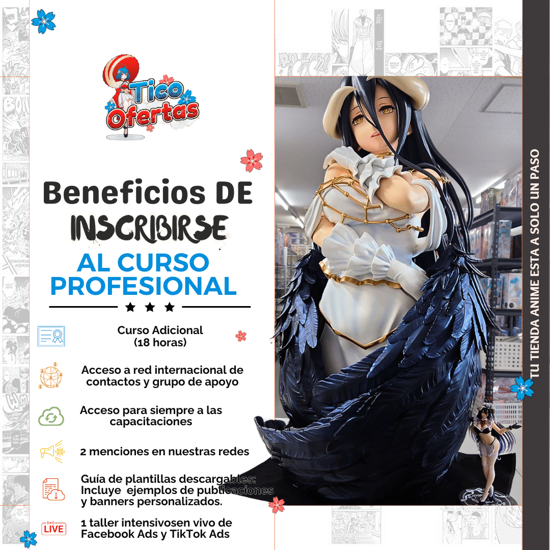 Curso Online: Cómo Iniciar una Tienda Virtual de Anime Exitosa - Tico Ofertas